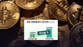 판 커지는 '스테이블코인'...걷는 원화 위에 뛰는 달러