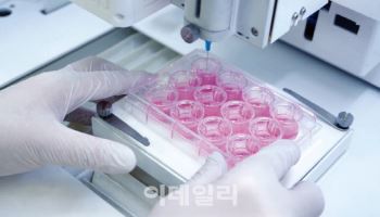 로킷헬스케어, 3D프린팅 인공피부 ‘에피템-2’ 출시