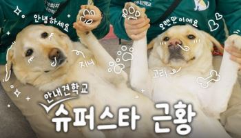 삼성화재 유튜브 채널 구독자, 1년 만에 10배 급증