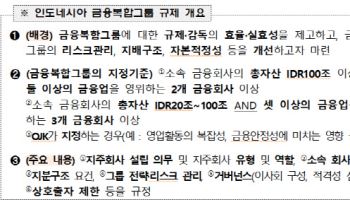 금감원, 인니 금융감독청과 '금융복합그룹 규제' 세미나