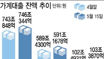 토허제 해제 후폭풍…5대 은행 가계대출 8영업일만 3조원↑