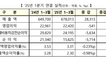 1만원 팔아 331원 남겼다…영업이익률↓