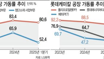 중국발 공급과잉·전기차 캐즘에 석화 가동률 ‘뚝’