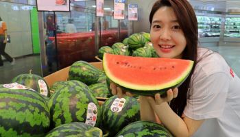 롯데마트, ‘꿀맛 수박 페스티벌’ 연다…최대 50% 할인
