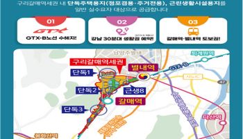LH, 구리갈매역세권 단독주택 용지 등 125필지 공급