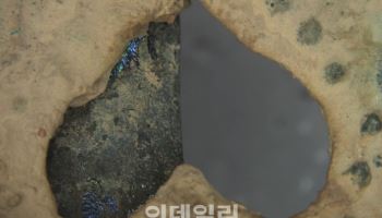 신라 금동관 '오색영롱 하트' 정체는? 비단벌레 장식 첫 확인