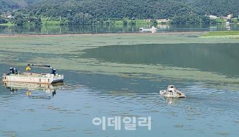 광교호수, 팔당호 ‘녹조라떼 비상’..경기도, 조류경보제 시행