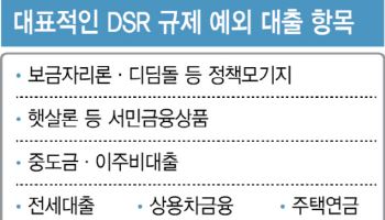 "가계빚 증가세 막으려면…DSR 규제 예외 줄여야"