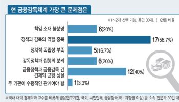 "독립기구 신설" "내부조직 강화"…금융소비자보호 기능 놓고 갈려