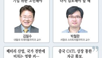 "배터리 올인 中에 속수무책…보조금 등 특단 대책 세워야"