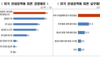 관세 리스크에 올해 수출 4.9%↓…"관세율 최소화 급선무"
