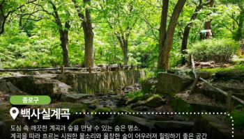 서울의 일상 경험할 명소를 찾아라