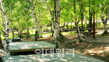 "올 여름엔 국립자연휴양림서 행복한 추억 만드세요"