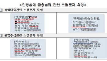 "장실장 돈 갚으라고 전달해"…금감원, 불법사채·추심 문자 차단한다