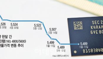 "관세發 사재기 수요 끝물"…DDR5 D램값 떨어진다