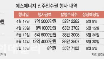 대선공약에 급등한 ‘이 주식’…주가 제대로 올랐다