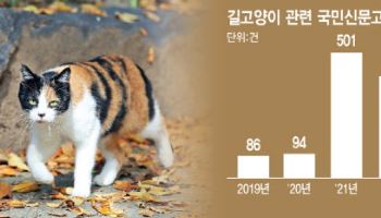 정부, '길냥이' 갈등 풀자…'고양이 전담 조직' 만든다