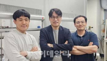 조병기 단국대 교수팀, 초고밀도 메모리 신소재 개발