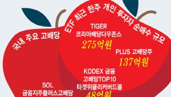 "대선 끝나고 더 뜬다"…뭉칫돈 몰린 'K-고배당 ETF'