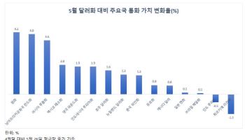 5월 원화값 주요국 중 1위…“6월에도 환율 하락세”