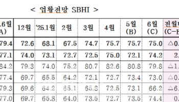 6월 중기경기전망 악화…전월비 0.7포인트 하락한 75.0