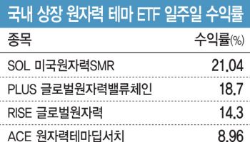 ‘원전 르네상스 온다’…불기둥 뿜는 원전 ETF