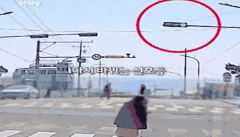 슬램덩크 배경 때문에 목숨 내놨다…난리난 부산