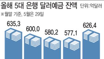 환율 떨어지자…달러 예금에 한달새 6.8조 몰렸다