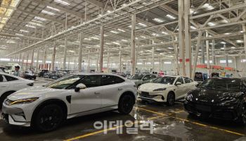 '독이 든 성배'…中 전기차 출혈경쟁 속 판매량 증가세