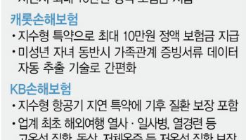 "항공기 지연·기후성 질환도 보장"