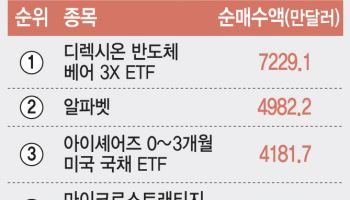 ‘아슬아슬’ 불안한 美 증시…서학개미, ‘방어’ 태세 돌입[주톡피아]