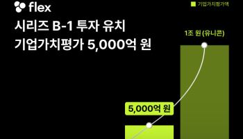플렉스, 100억 규모 시리즈B-1 투자유치…“기업가치 5000억”