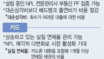 '배드뱅크' 추진…2금융권, 부실 정리 기대