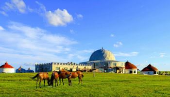 교원투어 여행이지, 몽골 패키지 확대…MZ세대·지방 출발 상품 강화