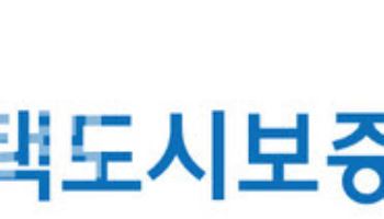 HUG, 전세대출 보증 상환능력 심사 유보 결정