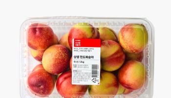 롯데마트, ‘상생 천도복숭아’ 판매…“30% 저렴하게”
