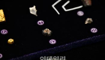 백제 왕실 무덤서 10대 추정 어금니 발견…"주인은 삼근왕"