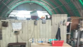 군산 농장 창고서 개 사체 120마리 '와르르'…농장주 검거