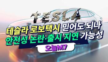 테슬라 로보택시 믿어도 되나…안전성 논란·출시 지연 가능성