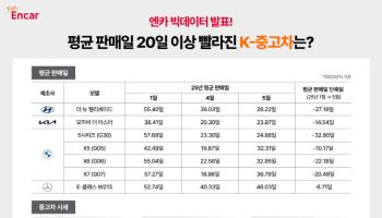 BMW 5시리즈·현대차 팰리세이드 평균 판매일 '20일' 줄었다