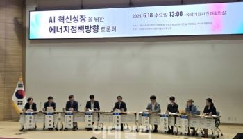 "'AI 전력량' 민간 대응 한계…재생에너지 병행해야"
