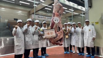 "가장 맛있는 한우고기 찾아라"…경기도, 고급육 평가대회