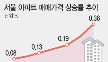 ‘불장’ 된 서울 “정치혼란 해소에 대출 규제 우려로 수요 폭발”