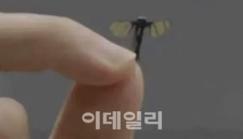 길이 2㎝, 무게 0.3g…中, 초소형 드론 개발