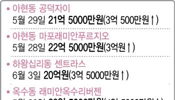 "집값 수억씩 쑥쑥" 마·성의 풍선효과…규제 칼 벼르는 당국