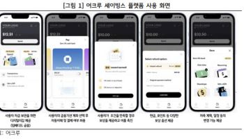 “가전제품 살 돈 미리 저축” 빚 없는 소비 ‘SNPL’이 뜬다