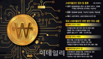 중요한 건 속도보다 방향성…소비자피해·코인런 방지책 먼저 마련해야
