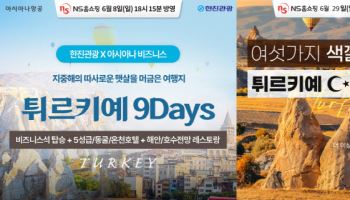 NS홈쇼핑, 상반기 프리미엄 여행상품 349억 판매