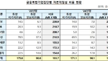 삼성·현대차 등 금융복합기업집단 자본적정성 19.4% ↓
