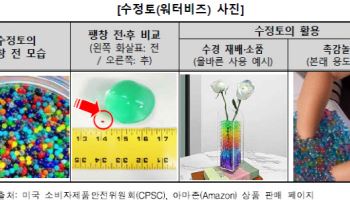 "수정토 삼킴 사고 주의…장폐색 위험 있어"